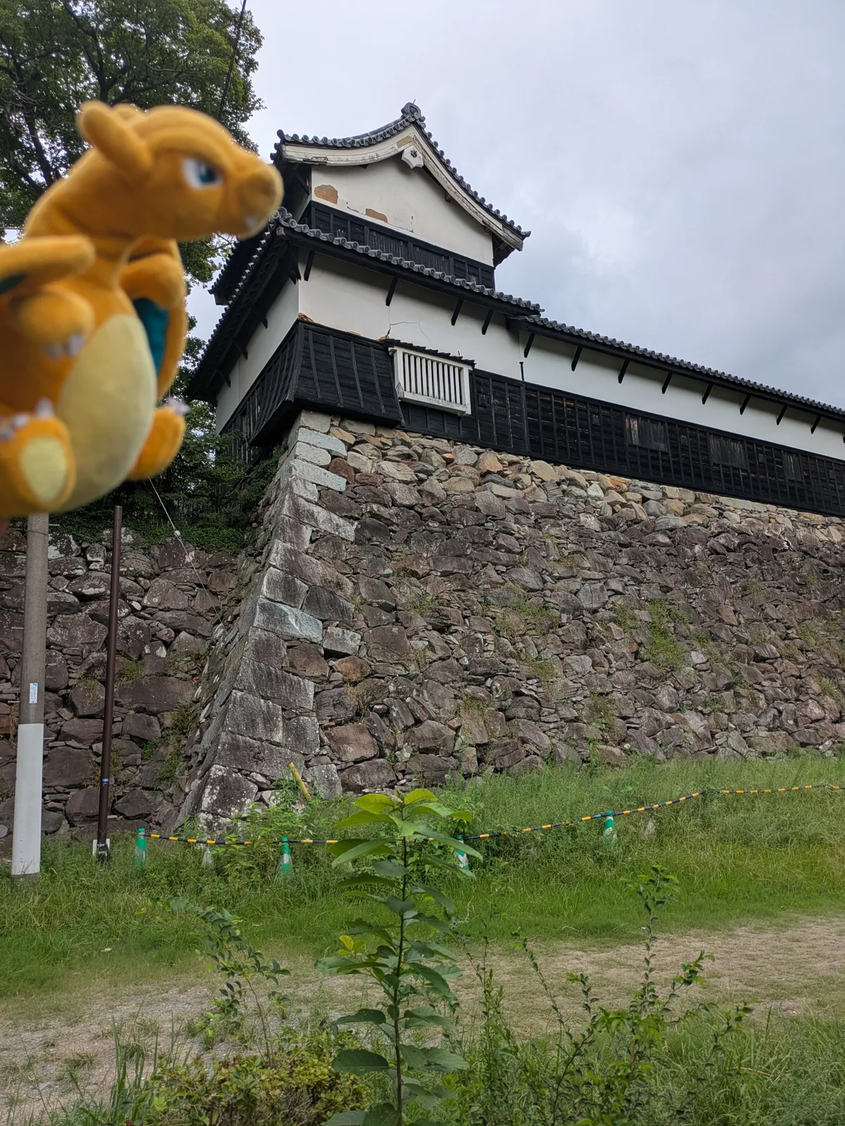 福岡城の櫓と石垣